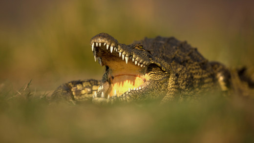 �1760261 �������(a): ����������:2048x1152